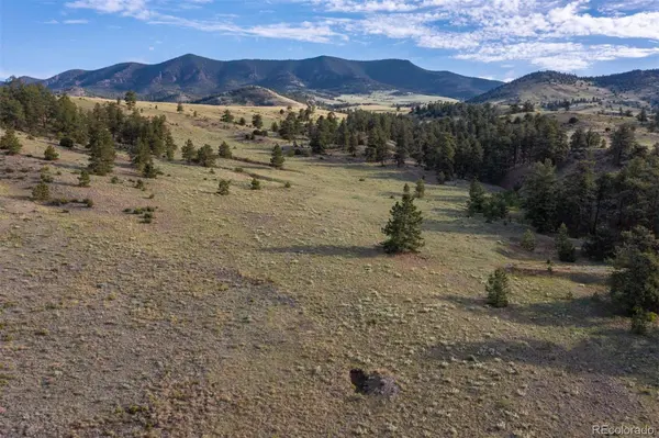 0 Big Buck Road, Guffey, CO 80820