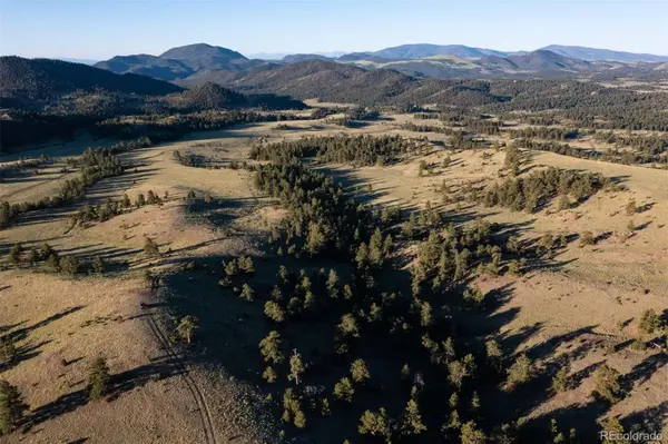 0 Big Buck Road, Guffey, CO 80820