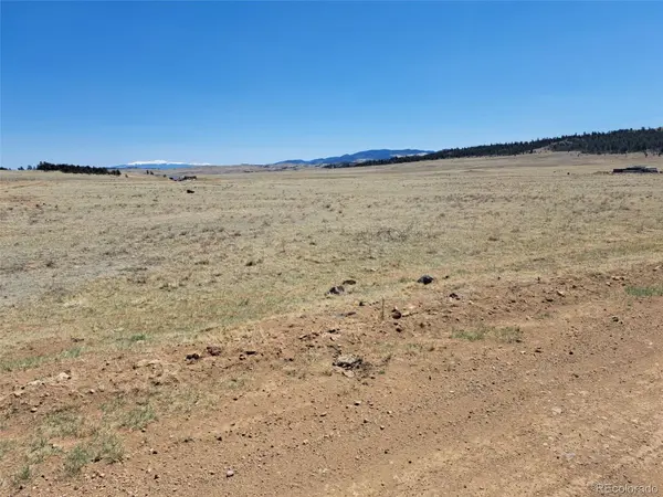 00 Chickasaw RD, Hartsel, CO 80449