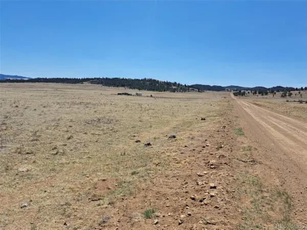 00 Chickasaw RD, Hartsel, CO 80449