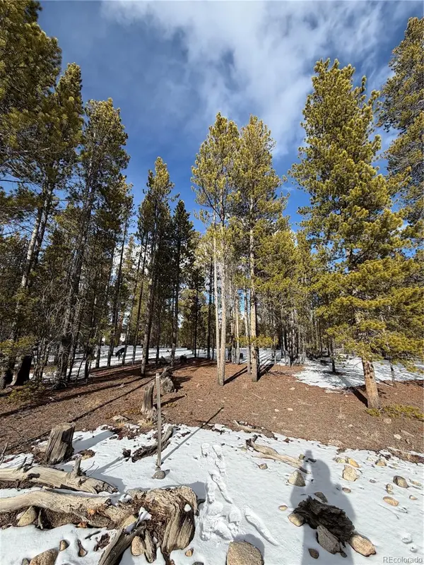 379 Peak View DR, Leadville, CO 80461
