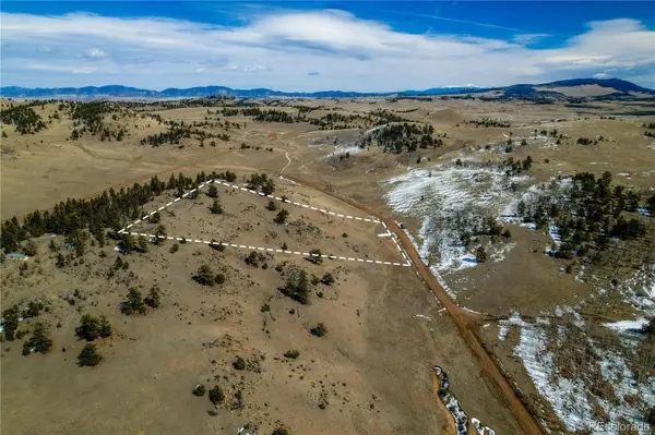 000 Dog Chief TRL, Hartsel, CO 80449
