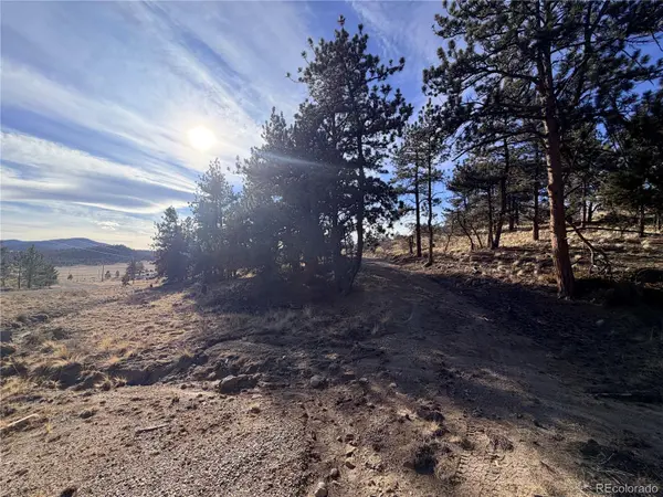 729 Bridle PATH, Hartsel, CO 80449