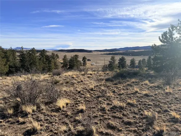 729 Bridle PATH, Hartsel, CO 80449
