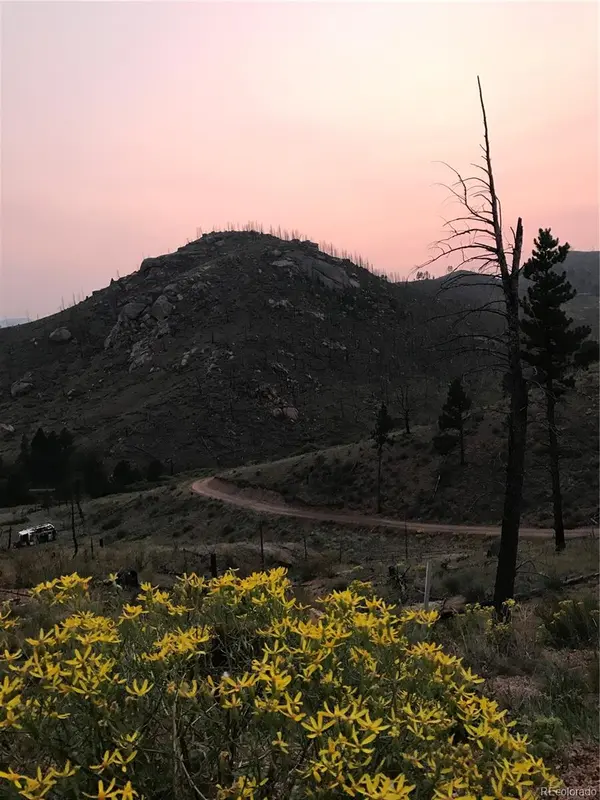 16280 Cochise TRL, Pine, CO 80470