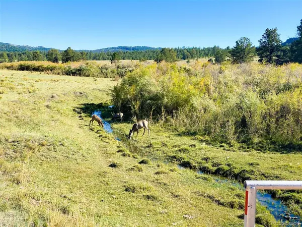 000 Rosebush RD, Canon City, CO 81212