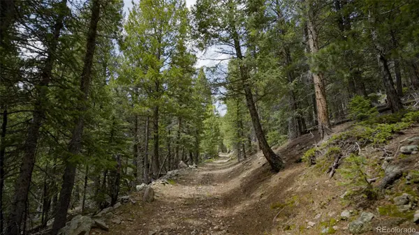 950 Corral Creek RD, Evergreen, CO 80439