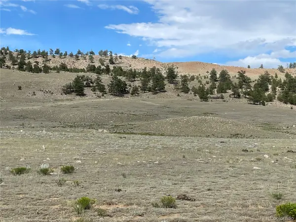 00 Lakeview DR, Hartsel, CO 80449