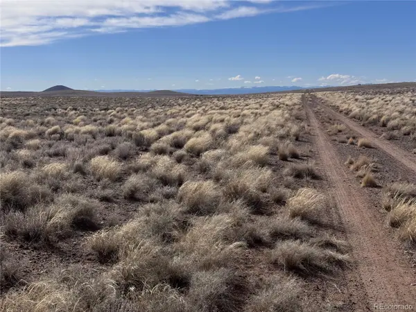 Lot 3 21st ST, Blanca, CO 81123
