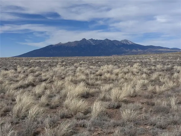 Lot 3 21st ST, Blanca, CO 81123