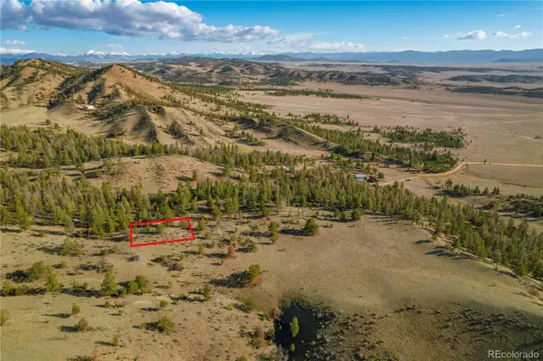 Willow ST, Hartsel, CO 80449