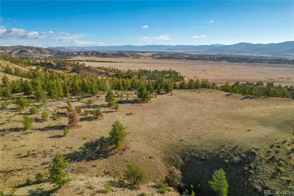 Willow ST, Hartsel, CO 80449