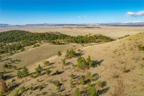 Willow ST, Hartsel, CO 80449