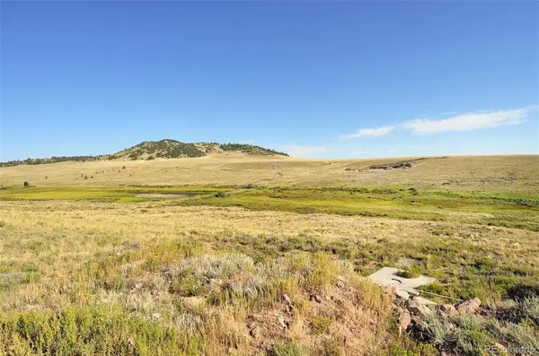 1245 Badger Creek RD, Hartsel, CO 80449