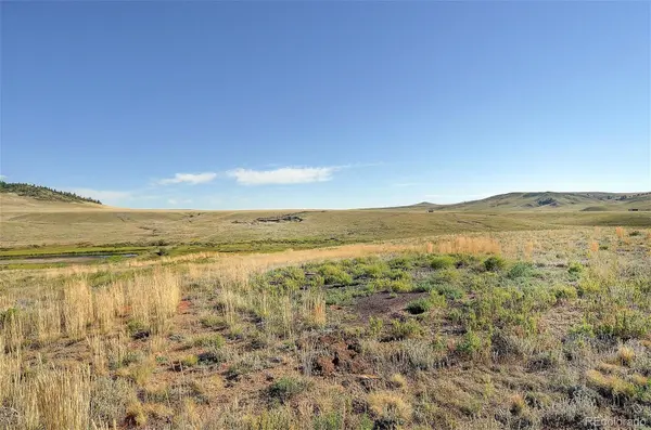 1245 Badger Creek RD, Hartsel, CO 80449