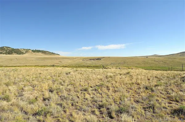 1245 Badger Creek RD, Hartsel, CO 80449