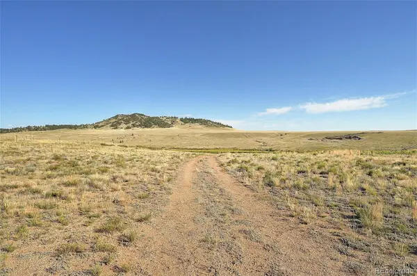 1245 Badger Creek RD, Hartsel, CO 80449