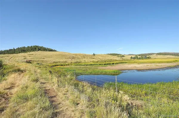1245 Badger Creek RD, Hartsel, CO 80449