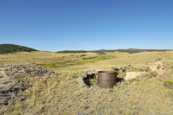 1245 Badger Creek RD, Hartsel, CO 80449