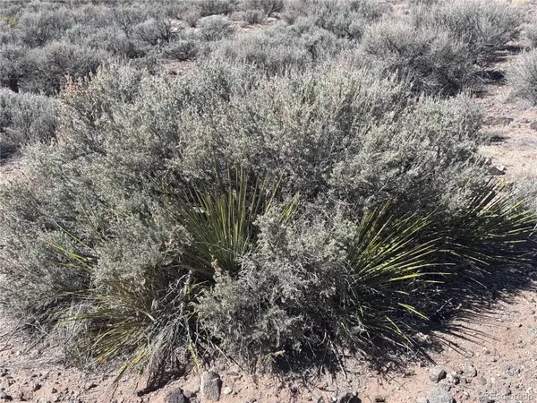 Lot 1 Fifth ST, Blanca, CO 81123