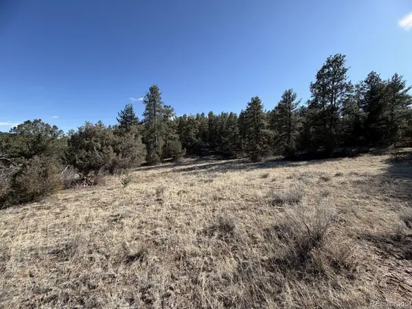 000 Canyon RD, Cotopaxi, CO 81223
