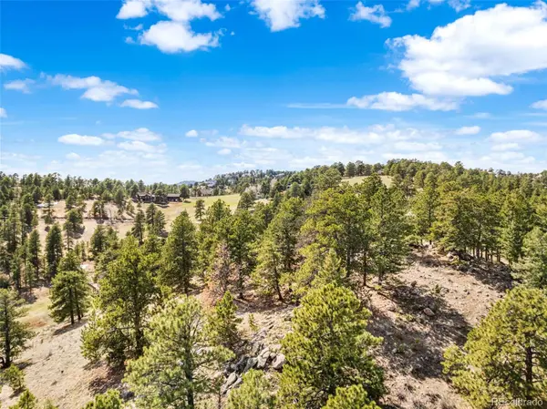 20524 Skyview Meadow LN, Golden, CO 80401