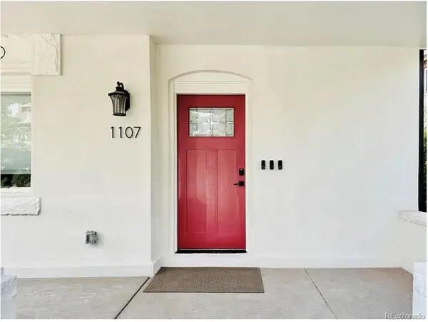 1107 N Downing ST, Denver, CO 80218