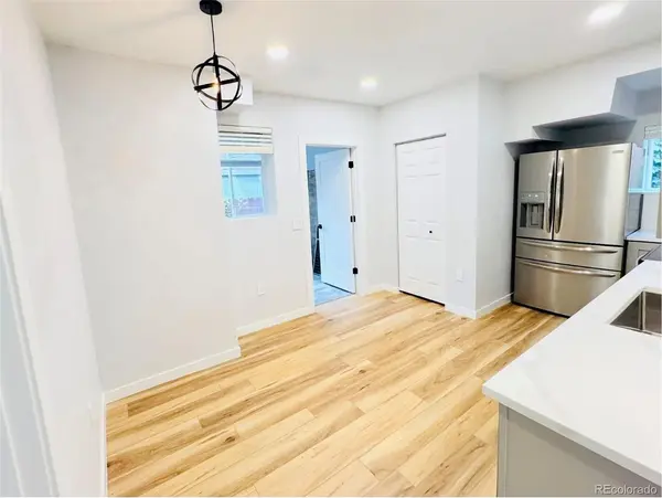 1107 N Downing ST, Denver, CO 80218
