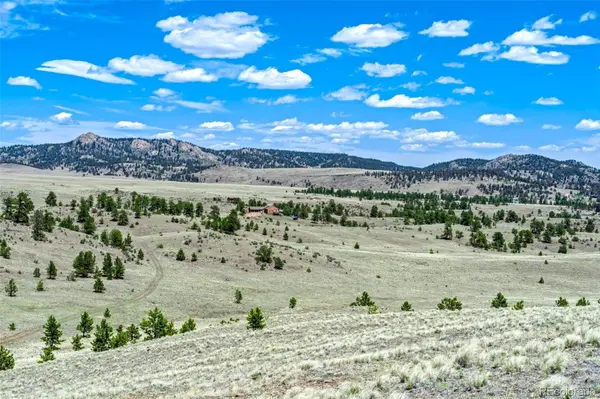 00 Roan TRL, Guffey, CO 80820