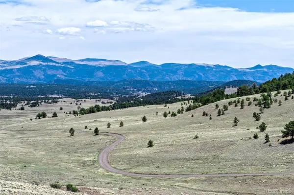 00 Roan TRL, Guffey, CO 80820