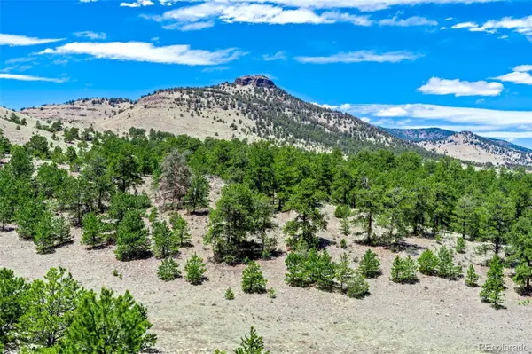 00 Roan TRL, Guffey, CO 80820