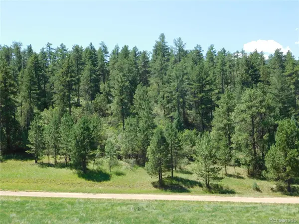 4668 Comanche DR, Larkspur, CO 80118