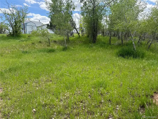 W Ryus, La Veta, CO 81055