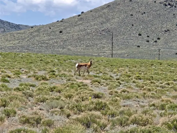South 2nd Street Lot 13, Blanca, CO 81133