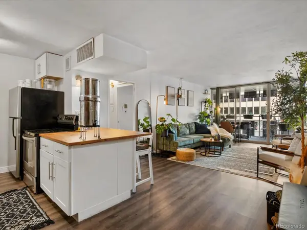 790 N Washington ST #206, Denver, CO 80203