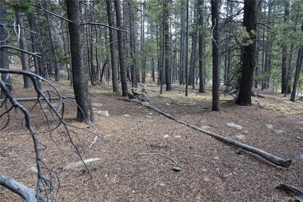 000 Loch Lomond Rd & Vista Rd, Idaho Springs, CO 80452