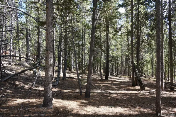 000 Loch Lomond Rd & Vista Rd, Idaho Springs, CO 80452