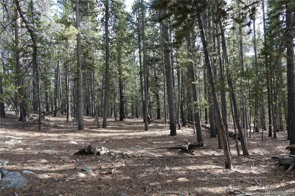 000 Loch Lomond Rd & Vista Rd, Idaho Springs, CO 80452