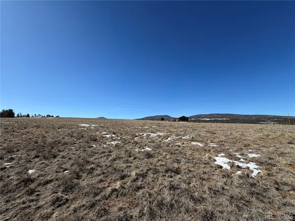 773 Hayhook WAY, Hartsel, CO 80449
