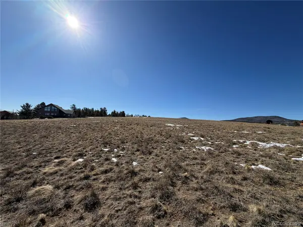 773 Hayhook WAY, Hartsel, CO 80449