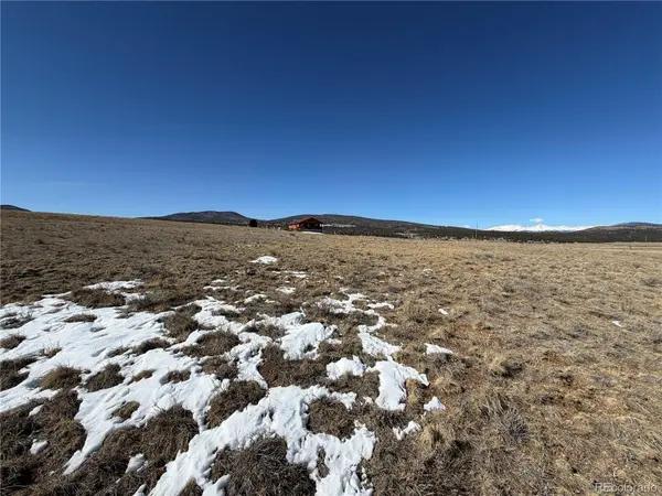 773 Hayhook WAY, Hartsel, CO 80449