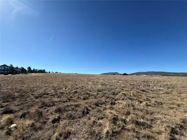773 Hayhook WAY, Hartsel, CO 80449