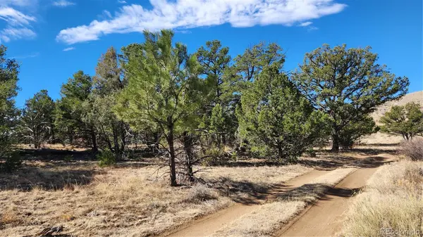 TBD L I PATH, Cotopaxi, CO 81223