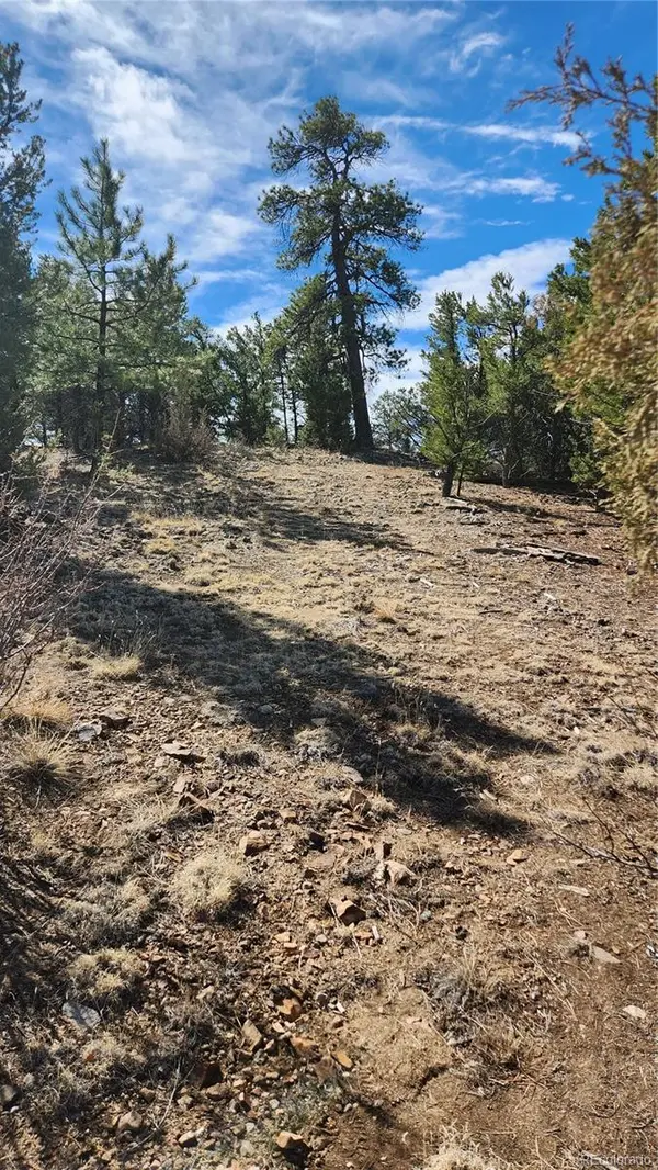 TBD L I PATH, Cotopaxi, CO 81223