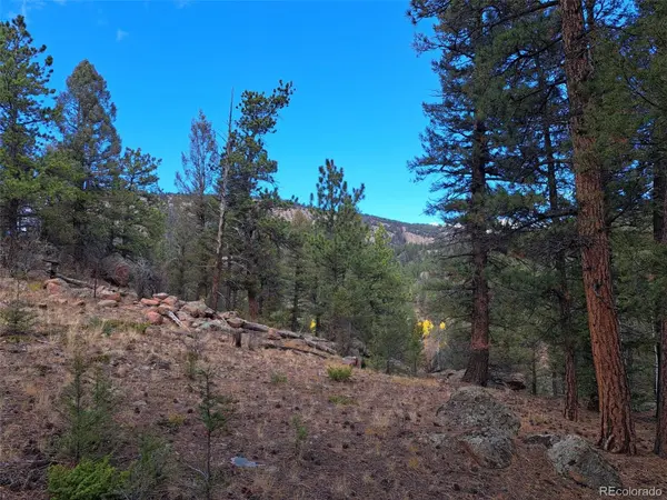 1077 Roland DR, Bailey, CO 80421