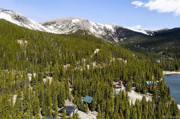 38 Brook DR, Idaho Springs, CO 80452