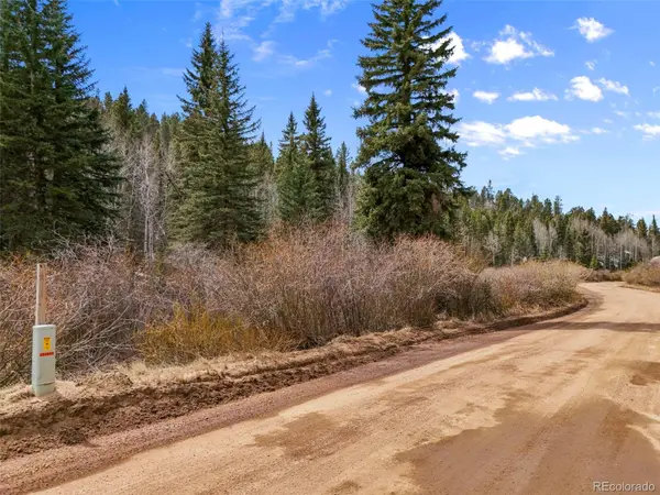 464 E Bison Creek TRL, Florissant, CO 80816