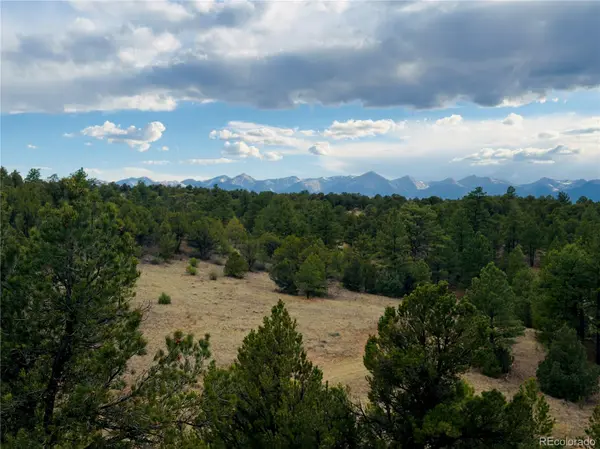 5539 Cody Park RD, Cotopaxi, CO 81223