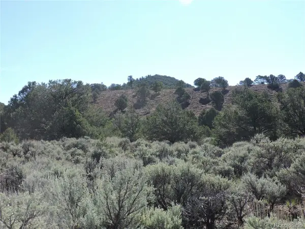 Lot 7563 Dolder RD, Fort Garland, CO 81133