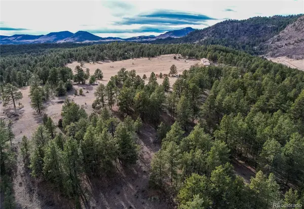 000 Twinkle RD, Guffey, CO 80820